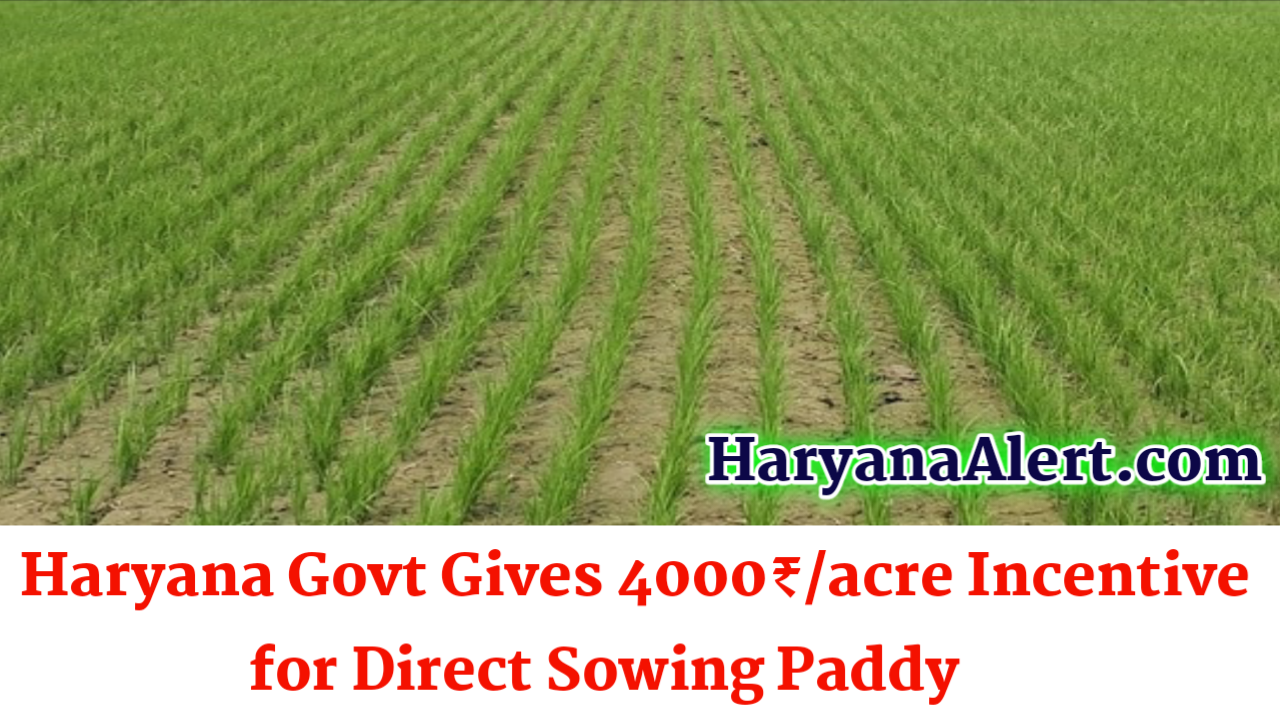 Haryana Direct Sowing Paddy Anudan Yojana 2022