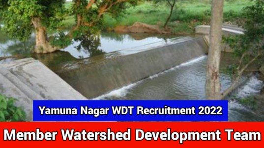 Yamuna Nagar WDT Recruitment 2022