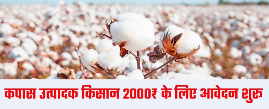 Haryana Cotton Anudan Yojana